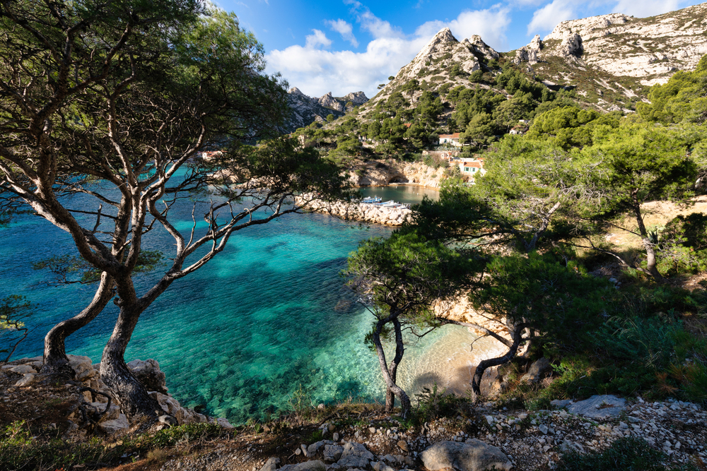 La crique provençale 