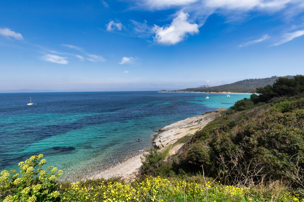 Plage d'argent à Porquerolles