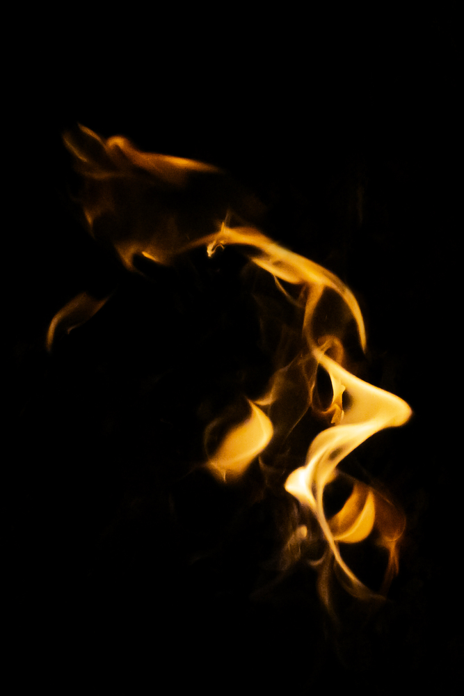 What do you see ? 11