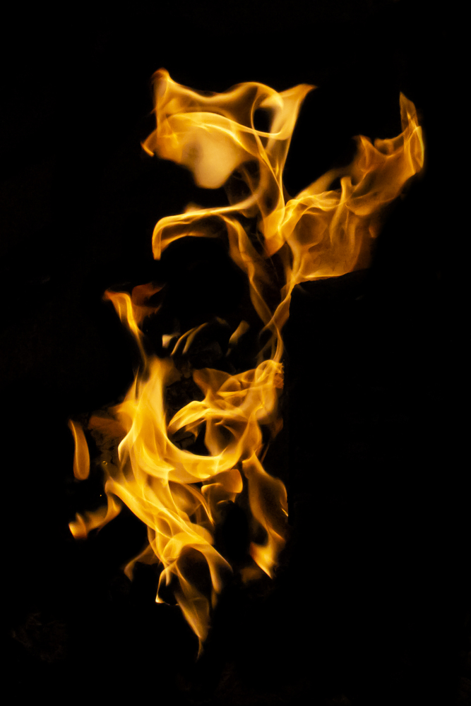 What do you see ? 12