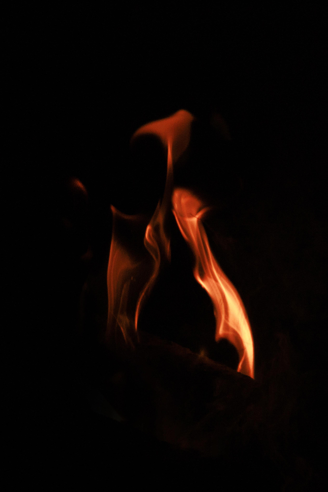 What do you see ? 14