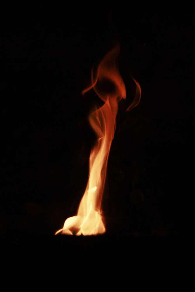 What do you see ? 15