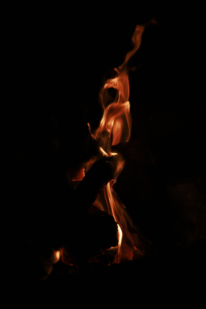 What do you see ? 16