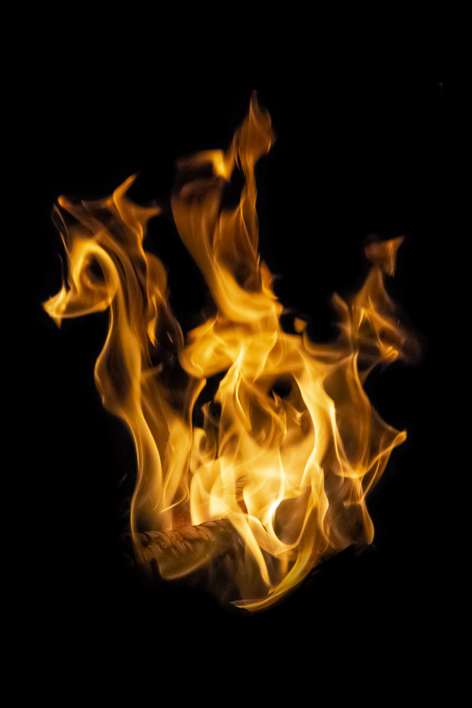 What do you see ? 19