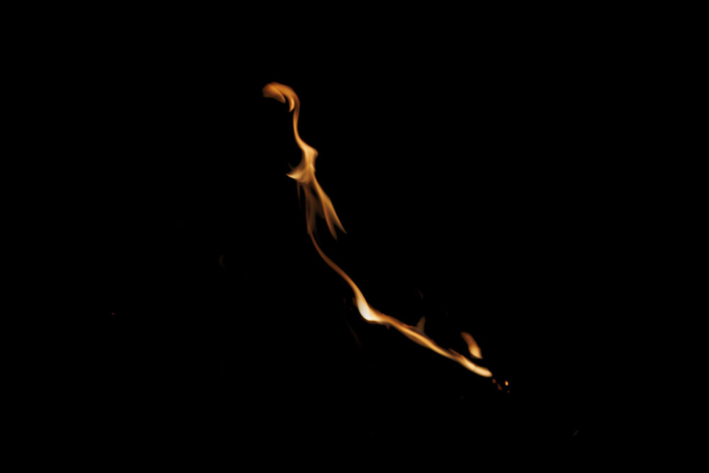 What do you see ? 24