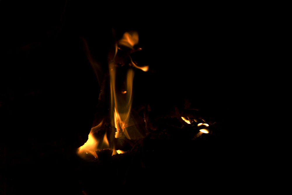 What do you see ? 26