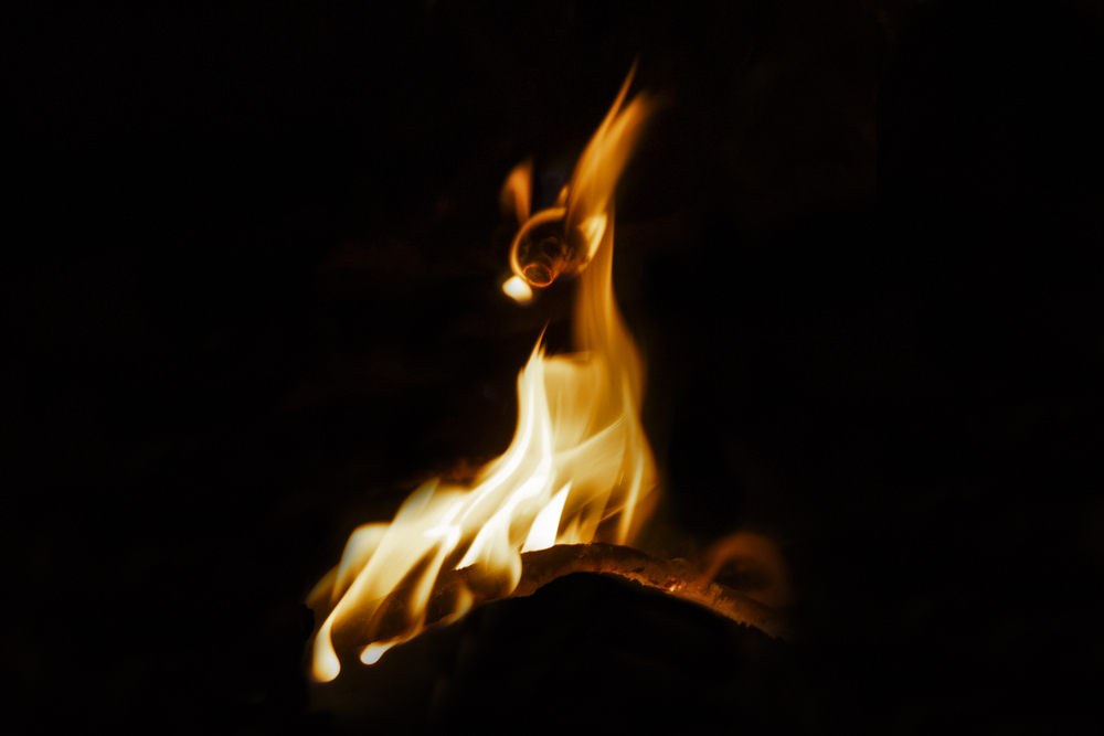 What do you see ? 29