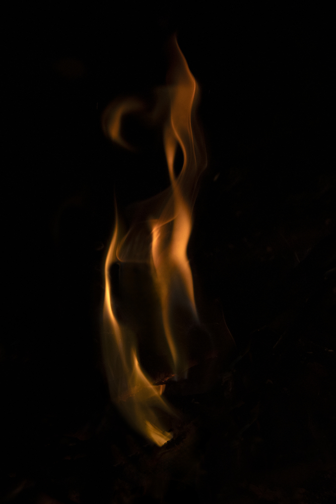 What do you see ? 30