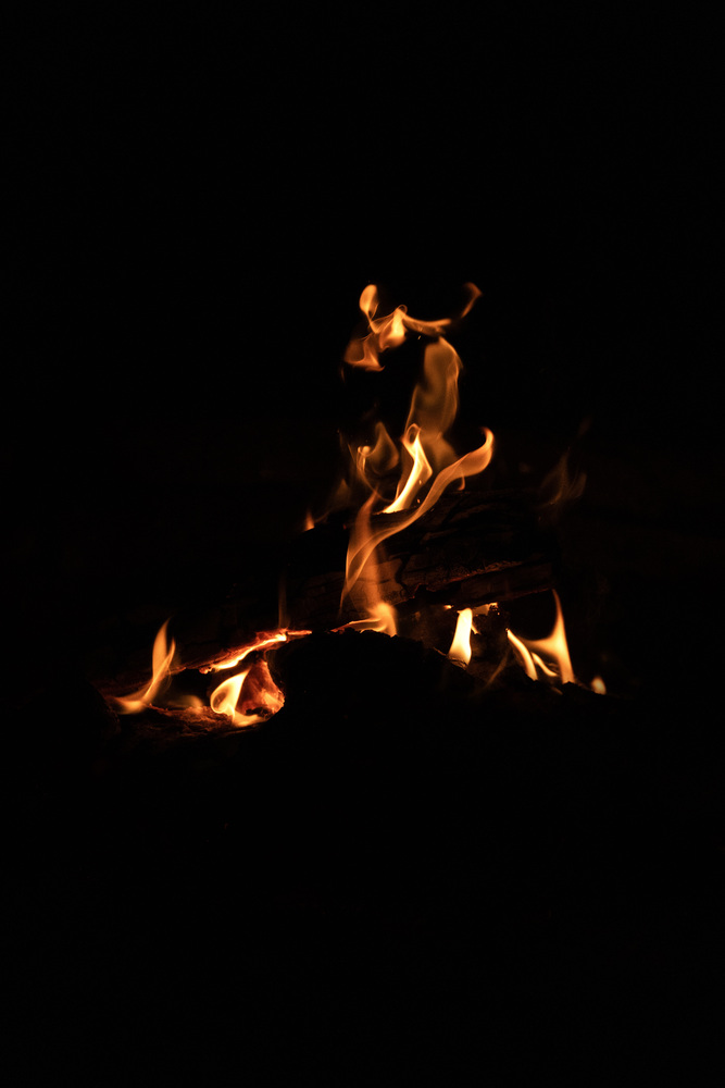 What do you see ? 31