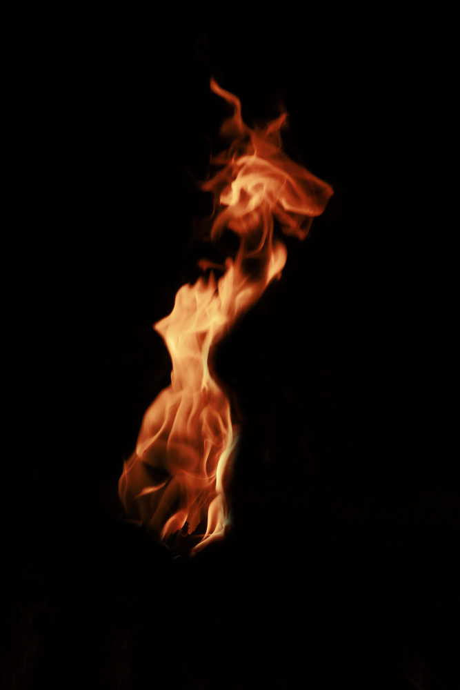 What do you see ? 34