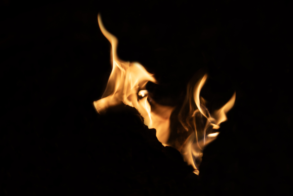 What do you see ? 38