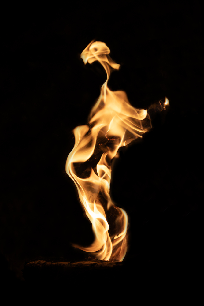 What do you see ? 40