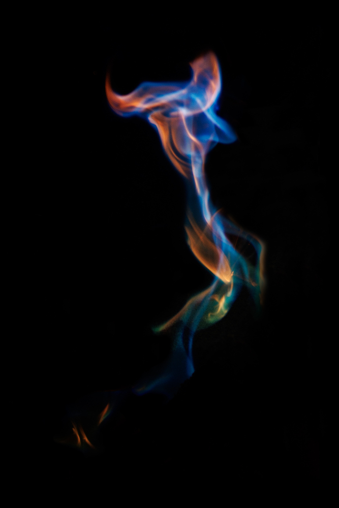 What do you see ? 42