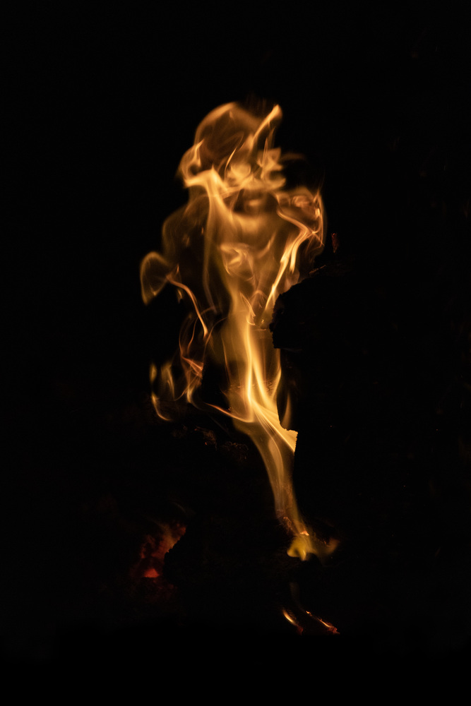 What do you see ? 43