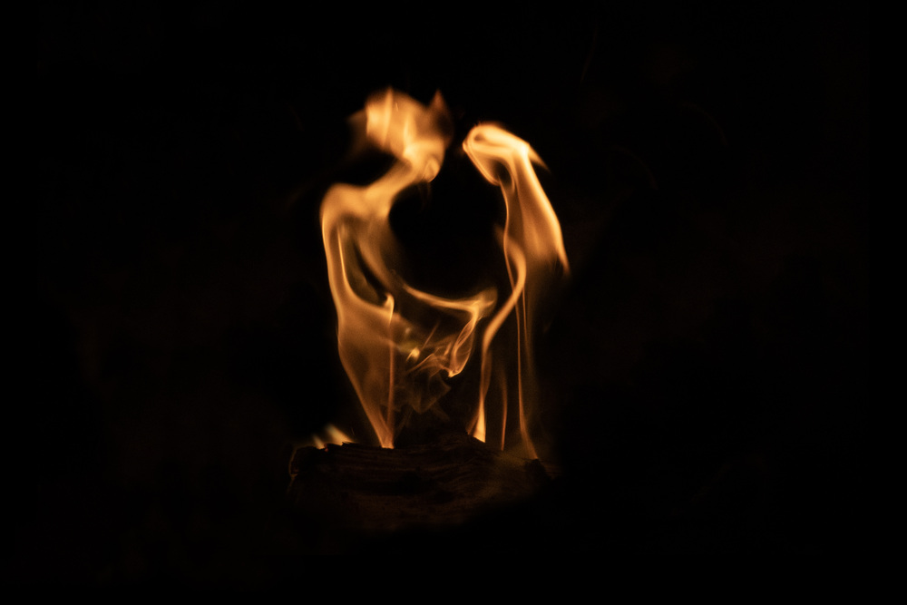 What do you see ? 44