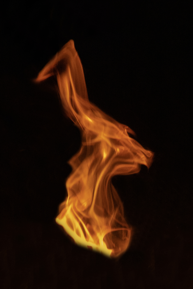 What do you see ? 45