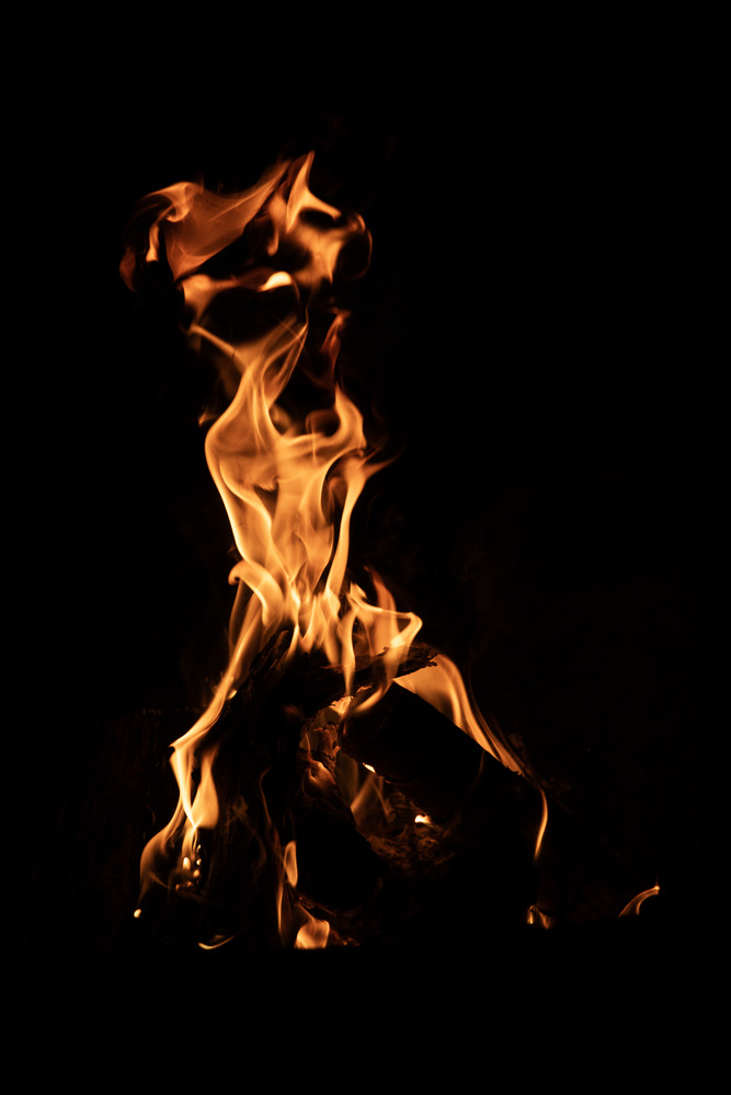 What do you see ? 46