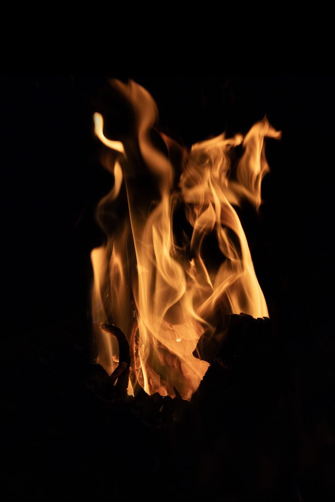 What do you see ? 48