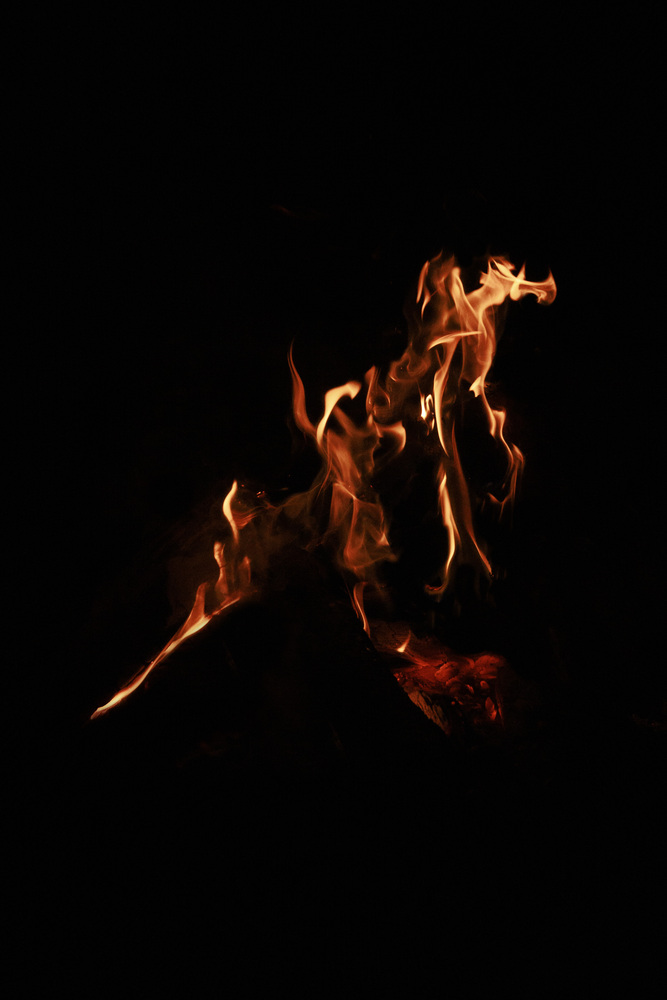 What do you see ? 49