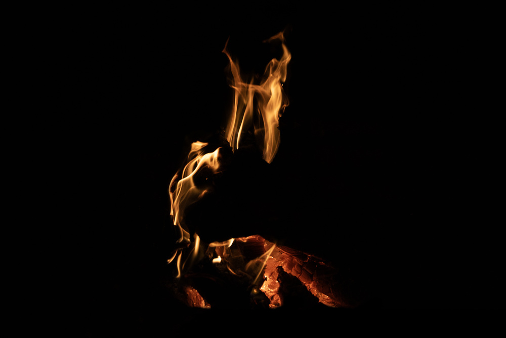 What do you see ? 50