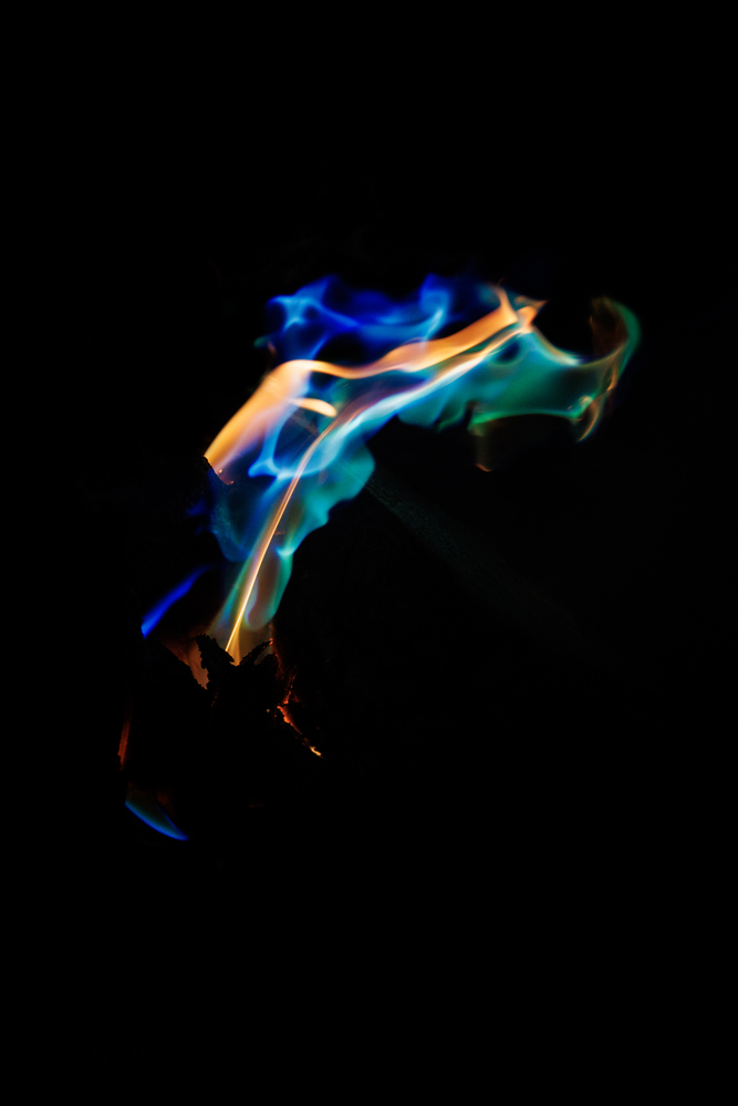 What do you see ? 51