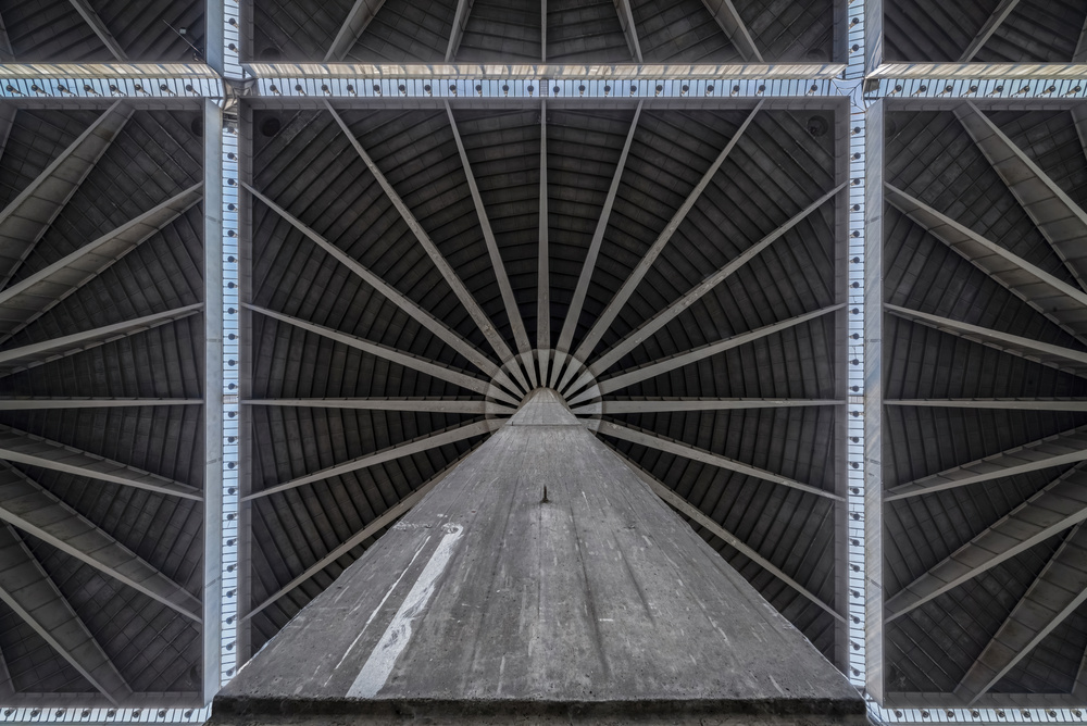 Concrete Flower - Abandoned Exhibition Hall - Italy