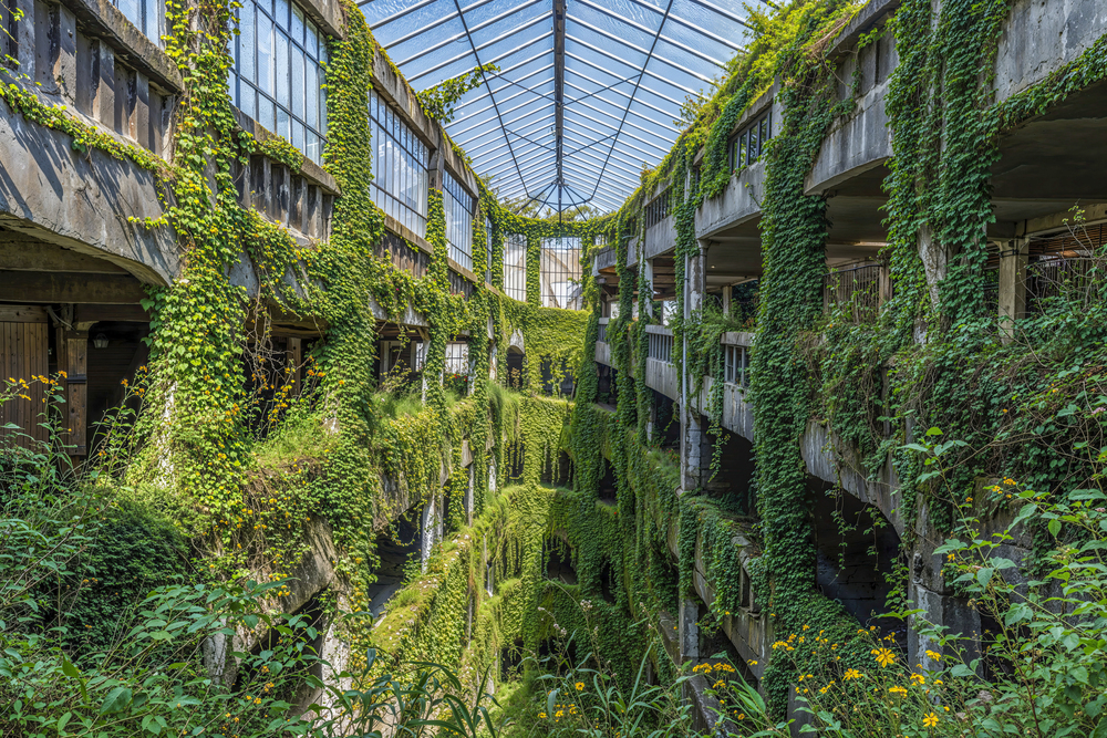 Le Jardin se crée I - France