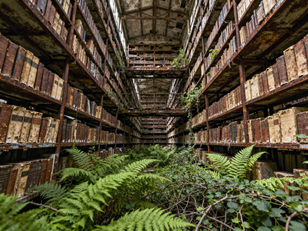Dans le silence des bibliothèques Series