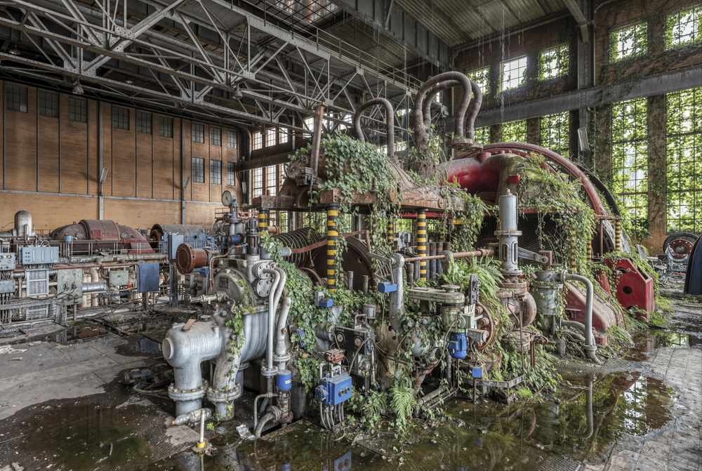 Sharks Patrol These Water